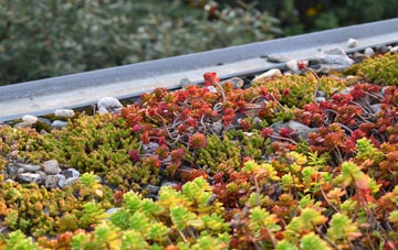 the cost of Medlicott green roof installation