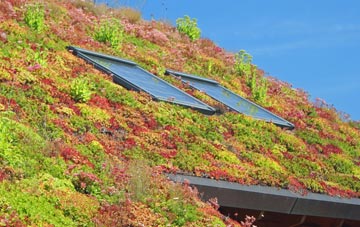Medlicott living roof systems