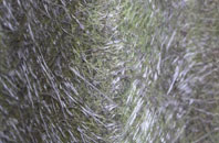 Medlicott fibreglass roof work